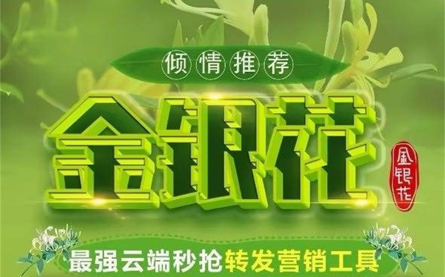 云端金银花.jpg